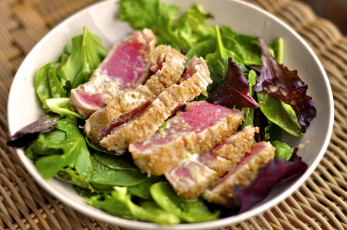 Картинка еда рыбные блюда морепродуктами тунец листья салата