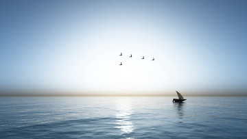 Картинка корабли лодки шлюпки лодка вода чайки