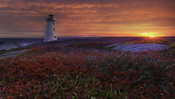 Картинка природа маяки кусты пейзаж побережье море закат