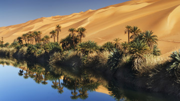 обоя природа, пустыни, вода, песок, оазис