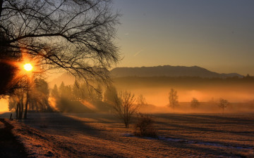 Картинка природа восходы закаты утро туман поле