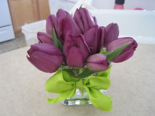 Обои картинки фото цветы, тюльпаны, бант, ваза