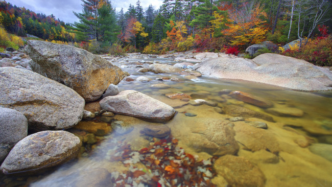Обои картинки фото природа, реки, озера, камни, осень, лес