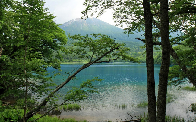 Обои картинки фото природа, реки, озера, гора, озеро, деревья