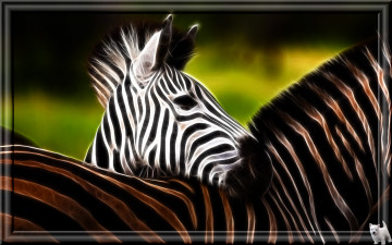 Картинка 3д графика animals животные зебры