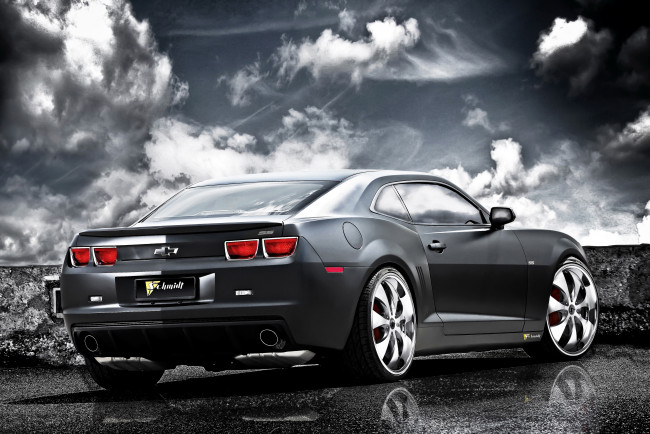 Обои картинки фото 2011, chevrolet, camaro, black, cat, автомобили