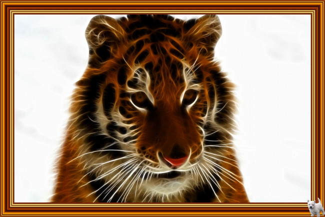 Обои картинки фото 3д, графика, animals, животные, тигр