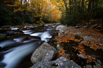 обоя big creek, природа, реки, озера, осень, лес, краски, камни, река