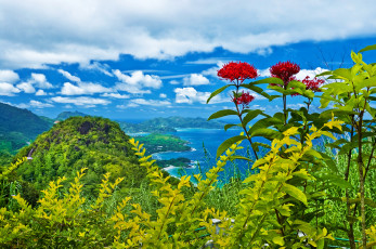 Картинка природа пейзажи озеро пейзаж цветы горы