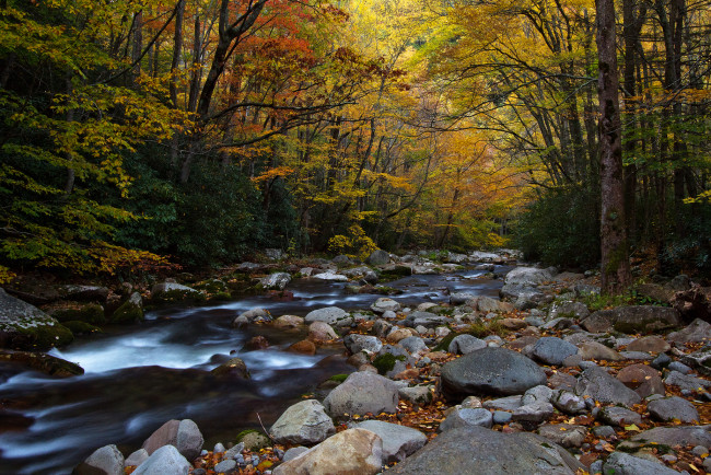 Обои картинки фото big creek, природа, реки, озера, камни, река, краски, лес, осень