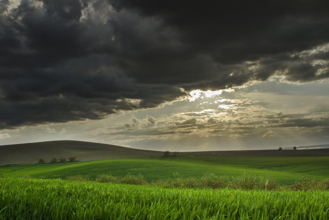 Обои картинки фото природа, поля, небо, холмы, трава, свет, лучи, солнце, тучи