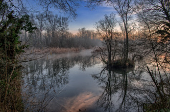 Картинка природа реки озера лес река