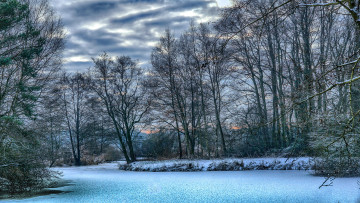 Картинка природа зима лес река