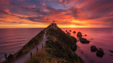 обоя nugget point lighthouse, new zealand, природа, маяки, nugget, point, lighthouse, new, zealand