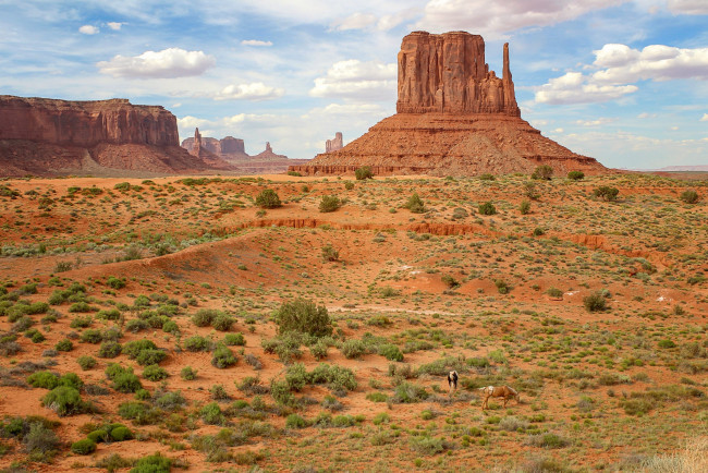 Обои картинки фото monument valley, arizona, природа, горы, monument, valley
