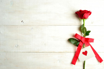 обоя праздничные, день святого валентина,  сердечки,  любовь, роза, лента, сердечко