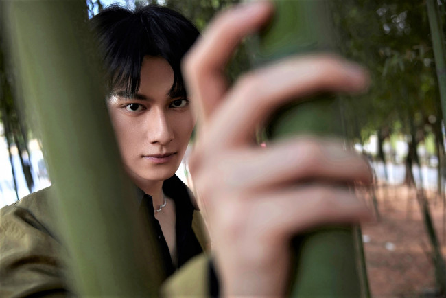Обои картинки фото мужчины, wang zhuocheng, актер, лицо, бамбук