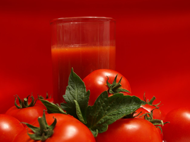 Обои картинки фото еда, напитки,  сок, помидоры, сок, томатный, стакан