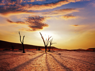 Картинка namib naukluft park desert природа пустыни