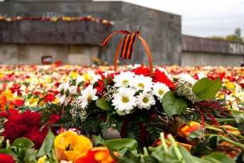 Картинка праздничные день победы георгиевская лента цветы вечная память 9 мая гвоздики тюлпаны победа