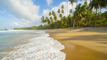 Картинка природа тропики песок вода пена