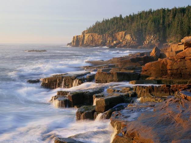 Обои картинки фото природа, побережье, otter-cliff-acadia, national-park-maine