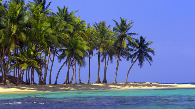 Обои картинки фото природа, тропики, пальмы, песок, море, океан, пляж