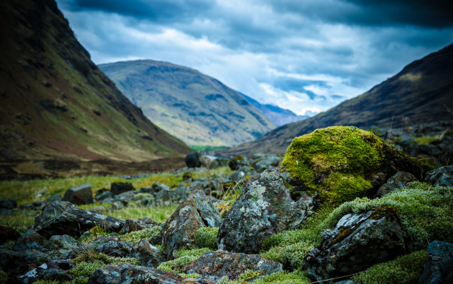 Обои картинки фото природа, горы, шотландия, камни, scotland, мох
