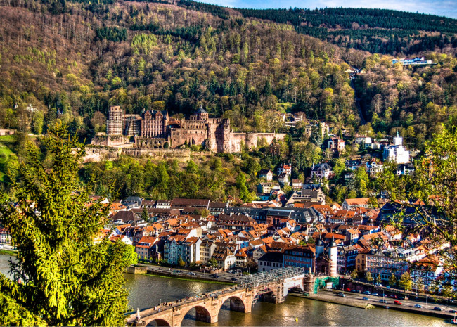 Обои картинки фото гейдельберг, германия, города, мост, дома, замок, деревья, река