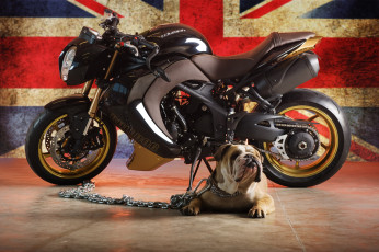 Картинка triumph speed triple мотоциклы motorcycles великобритания
