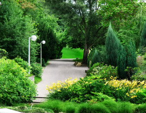 Картинка природа парк фонари деревья дорожка