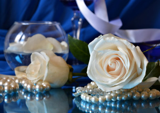 Картинка цветы розы бусины белые ожерелье ваза бутоны