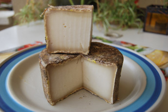 Картинка veciana еда сырные+изделия сыр