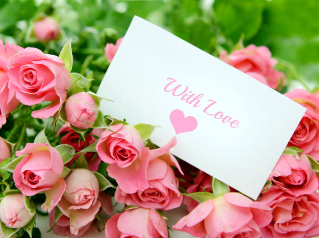 Обои картинки фото цветы, розы, записка, розовый