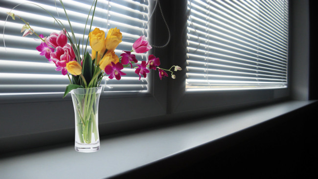 Обои картинки фото цветы, букеты,  композиции, орхидеи, тюльпаны