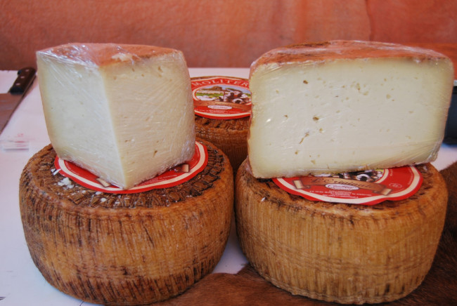 Обои картинки фото moliterno, еда, сырные изделия, сыр