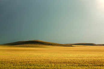 Картинка природа поля трава солнце холмы поле