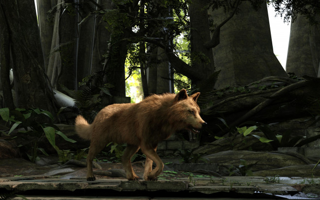 Обои картинки фото 3д графика, животные , animals, фон, волк
