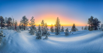 Картинка природа зима рассвет