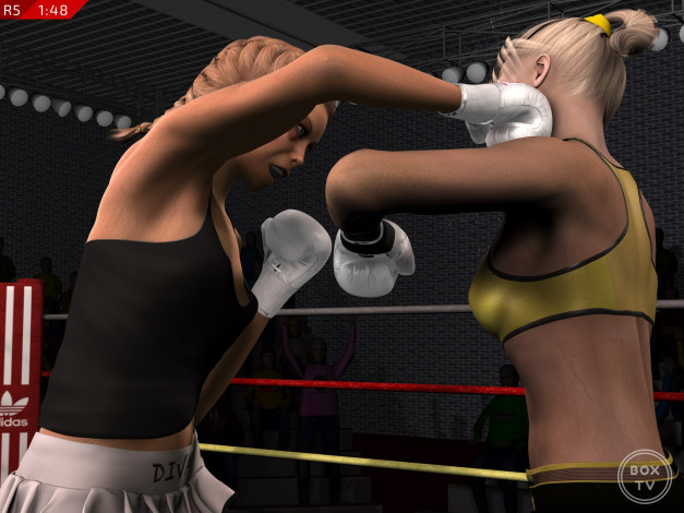 Обои картинки фото 3д графика, спорт , sport, фон, бокс, ринг, взгляд, девушки