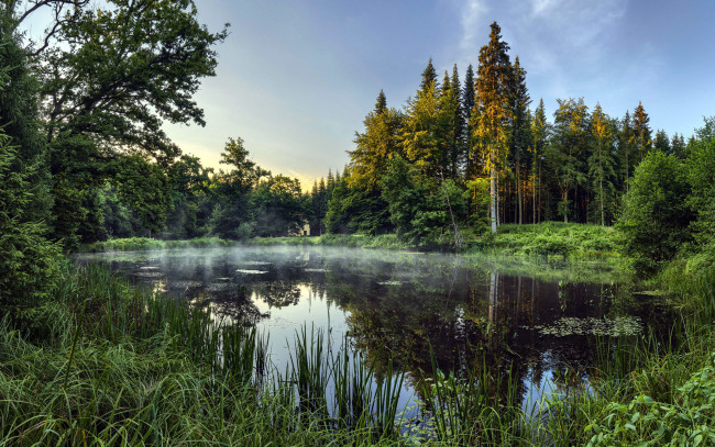 Обои картинки фото природа, реки, озера, пруд, рассвет, туман