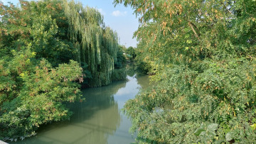 Картинка природа реки озера река