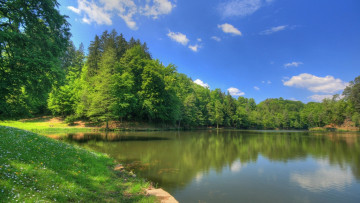 Картинка природа реки озера река деревья лужайка лето