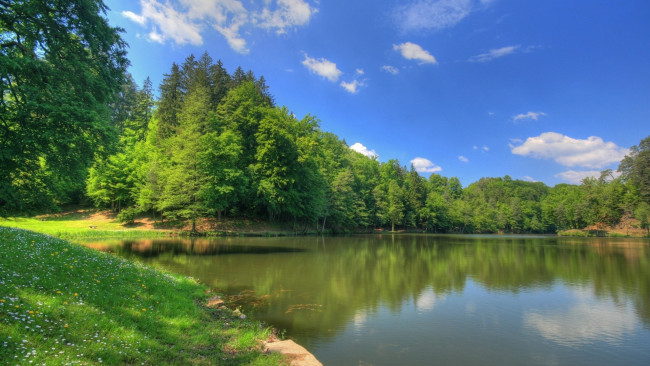 Обои картинки фото природа, реки, озера, река, деревья, лужайка, лето