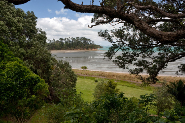 Обои картинки фото new, zealand, природа, тропики, берег, море