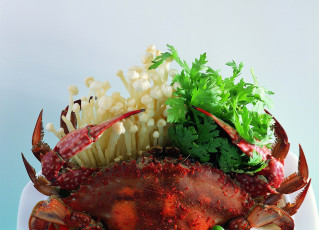 Картинка еда рыба морепродукты суши роллы грибы краб сыроедение зелень