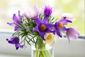 Картинка цветы анемоны адонисы срн-трава букет