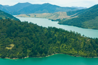 Картинка природа побережье пиктон южный остров новая зеландия