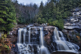 Картинка blackwater falls west virginia природа водопады лес скалы каскад блэкуотер западная вирджиния