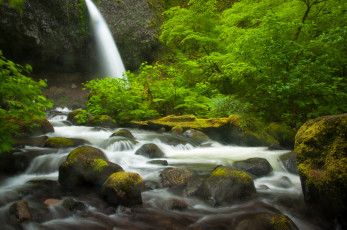Картинка природа водопады поток вода камни мох ponytail falls columbia river gorge oregon
